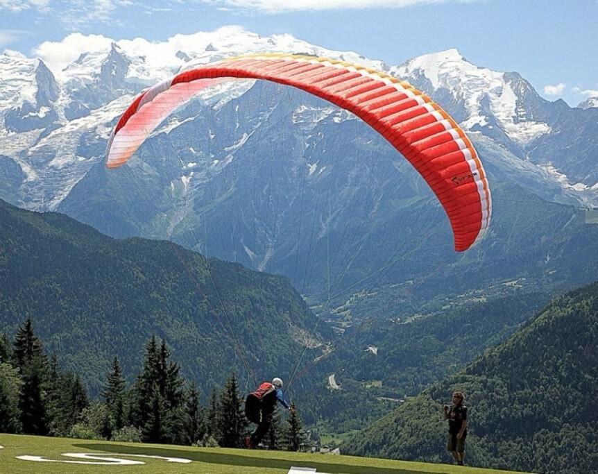 Super Appartement Cocooning Vu Mont Blanc Sallanches Bagian luar foto